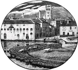 wood-engraving original print: Mill Lane, Cambridge